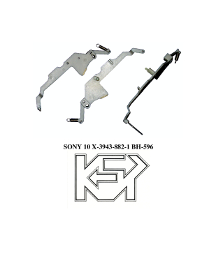 BH-596