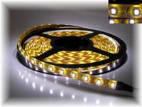 LED LSX5300W 60LED/M