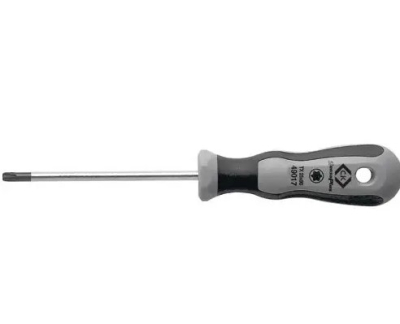 Κατσαβίδι Torx CK-49017 TX 30X110 mm