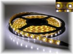 LED LSX5300W 60LED/M
