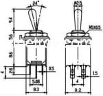Διακόπτης μικροφώνου CK SMTS-202 ON-ON 6 ακίδων