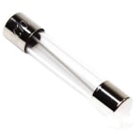 Fuse Glass 10A 20mm
