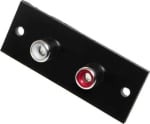 TERMINAL 2RCA panel 20х52 мм
