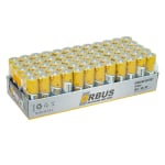 BP AA-R6 1.5V Alkaline LR6