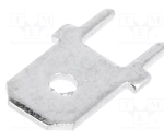 FS1536 Terminal: flat; 6.3mm; 0.8mm; male; THT; brass; tinned; straight